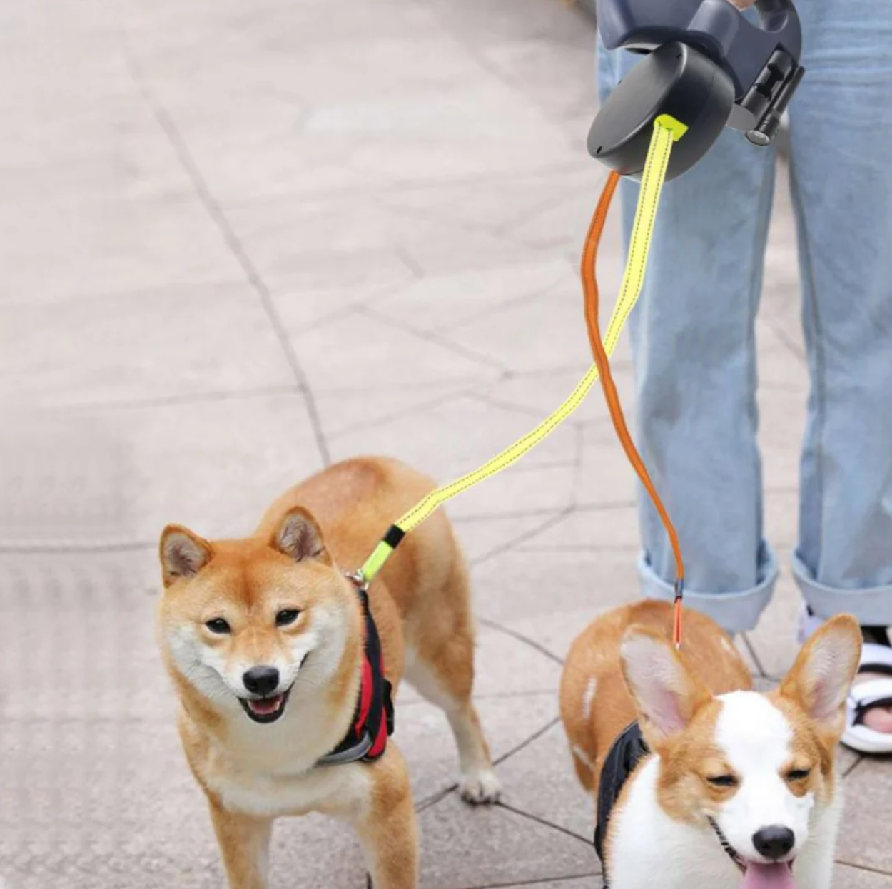 DuoLeash™ – 2-in-1 Dog Leash with Light